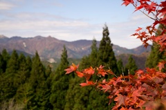 紅葉　スキー場より黒笠山方面