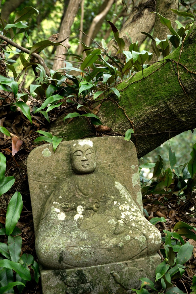 DSC02409
