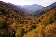 紅葉ももう終わり　三嶺、祖谷渓