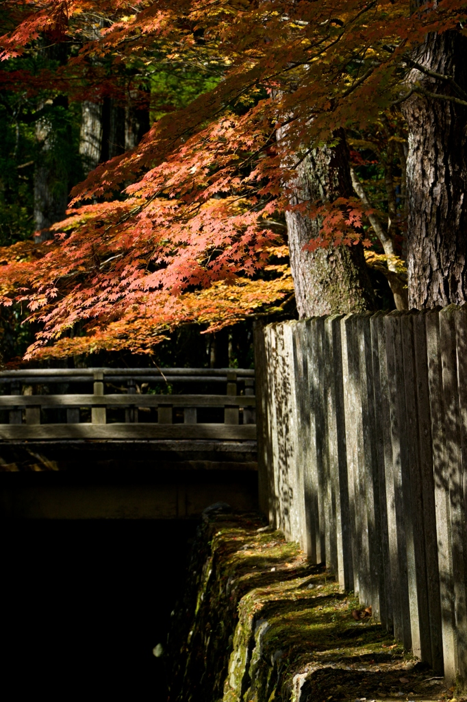 高野の朱　金剛峯寺裏