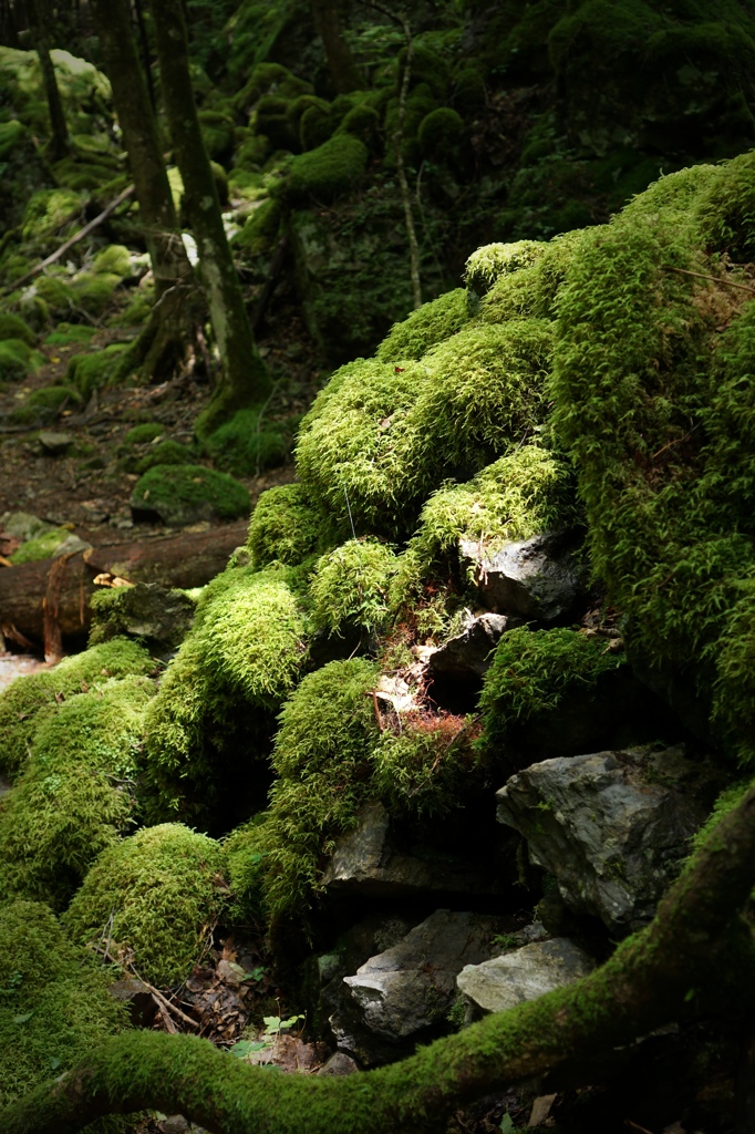 山犬嶽2