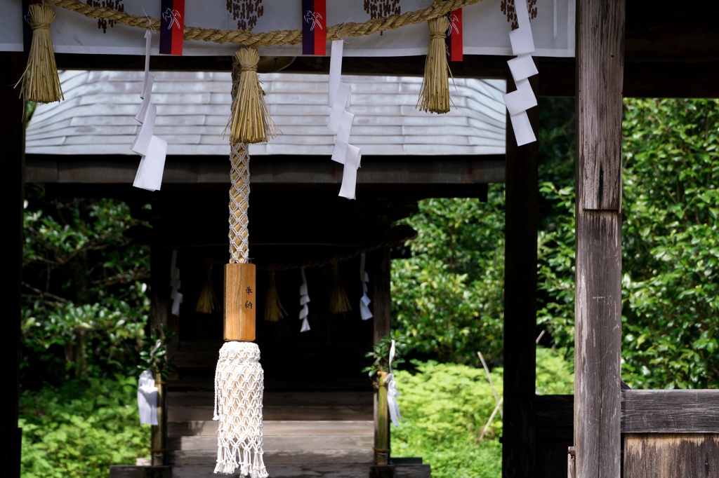 土佐神社　DSC06560