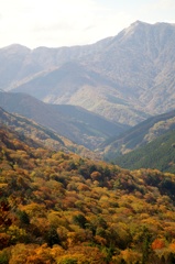 紅葉ももう終わり　三嶺、祖谷渓
