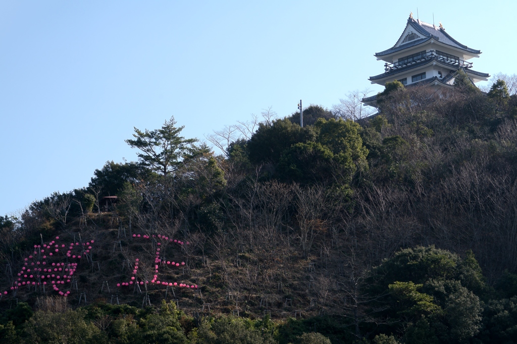 日和佐城の大晦日