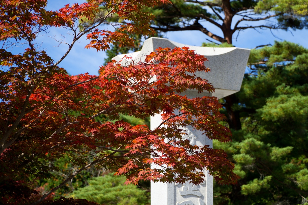 高野の色　大師協会本部前