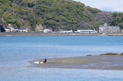 高知浦戸湾 黙々と・・・