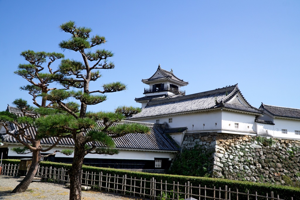 高知城　DSC06636