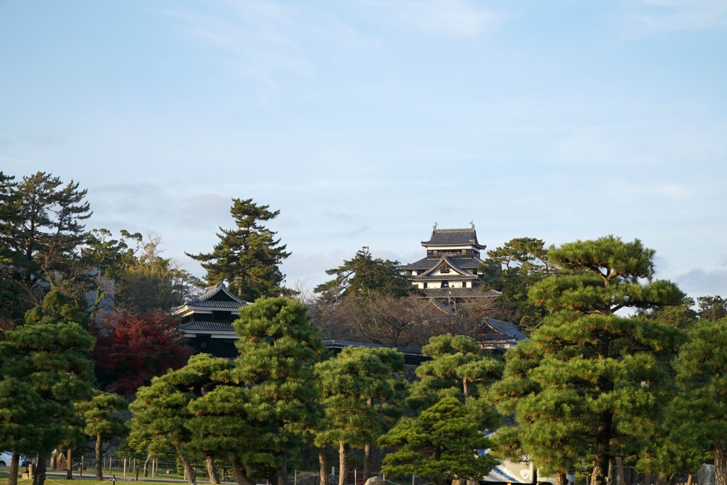 島根県庁前から松江城