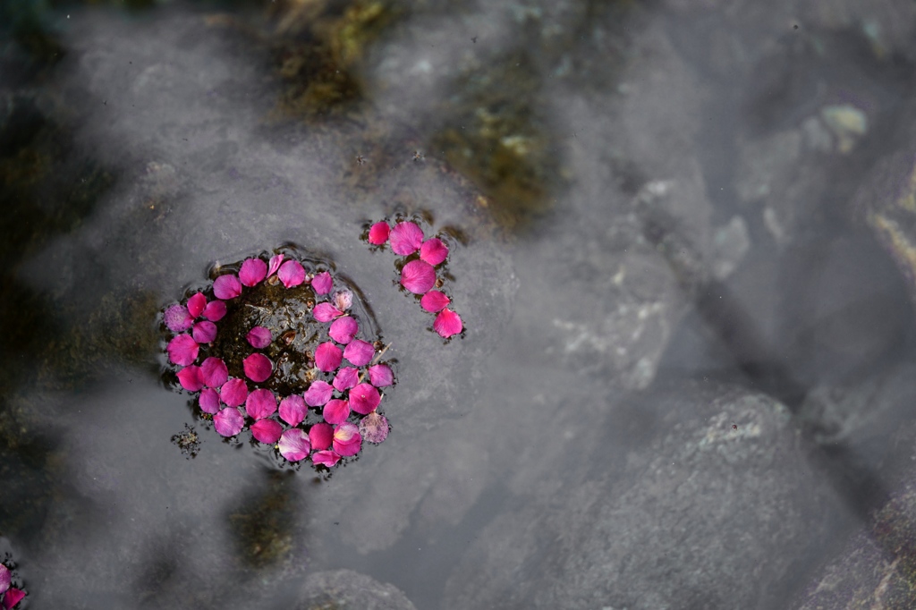 花びらの砂浜
