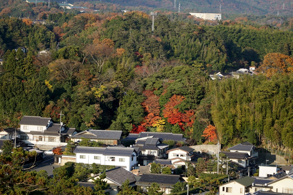 松江城天守から