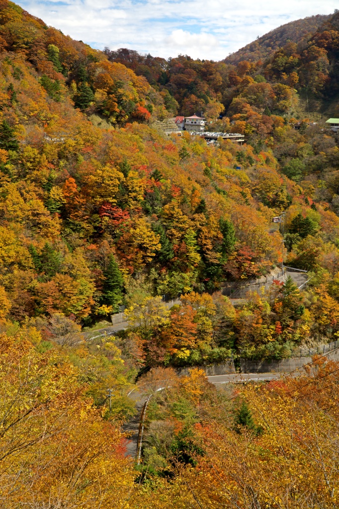 紅葉ももう終わり　見残しを望む