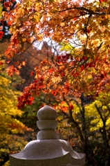 高野の朱色　中霊殿前