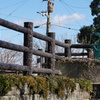 DSC08889