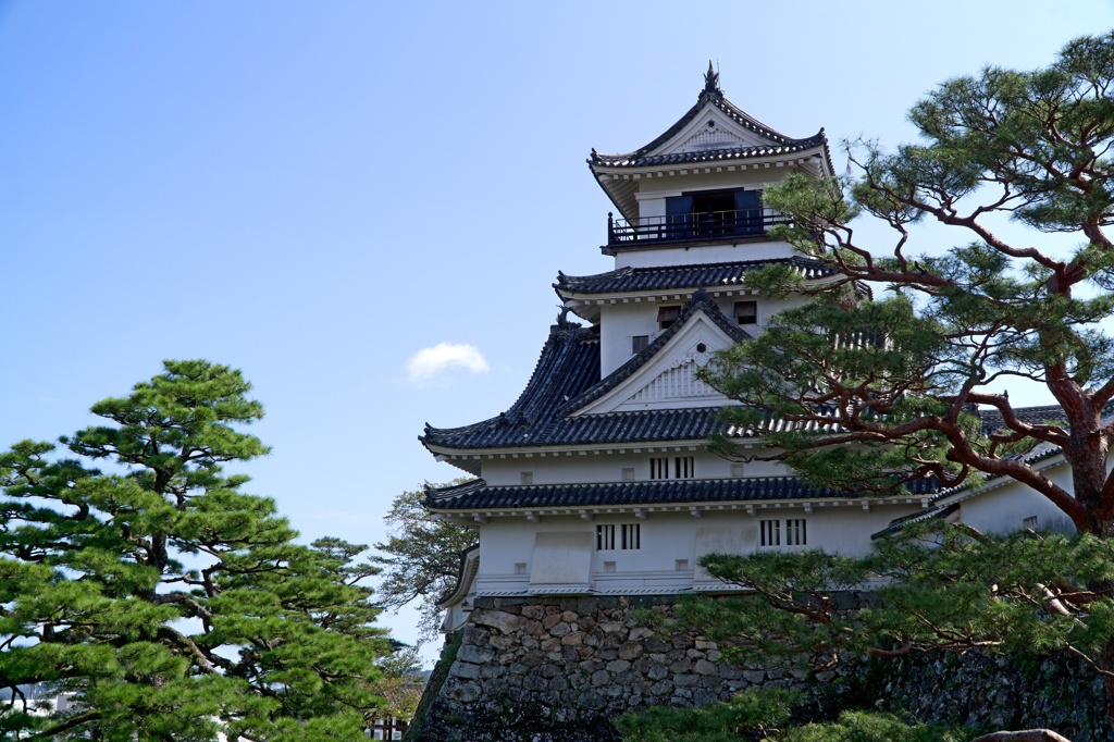 高知城　DSC06622