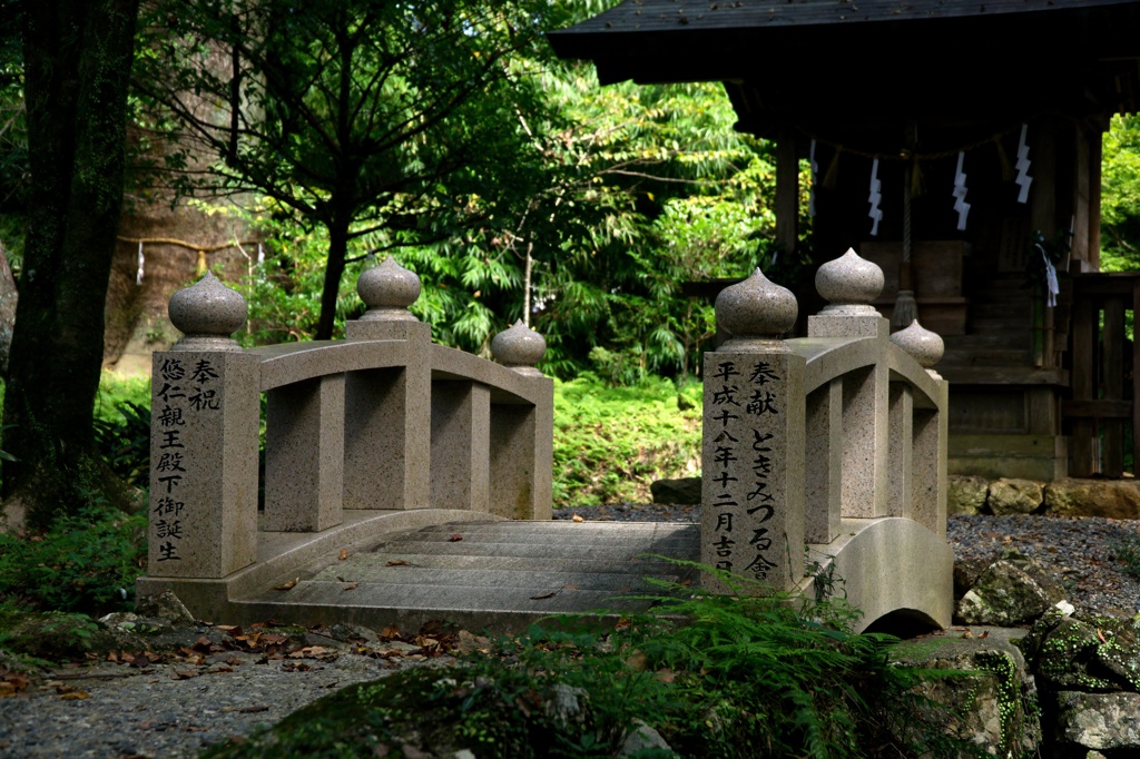 土佐神社　DSC06582