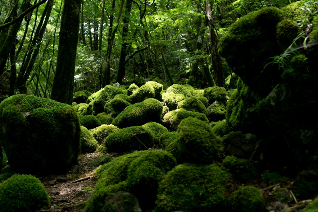 山犬嶽3
