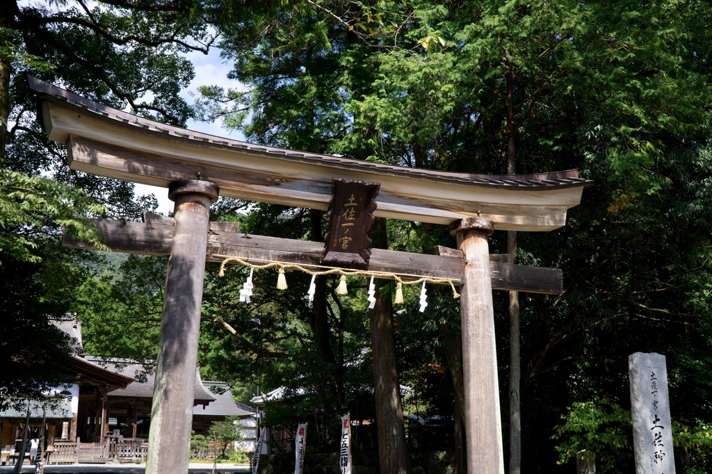 土佐神社　鳥居　DSC06535