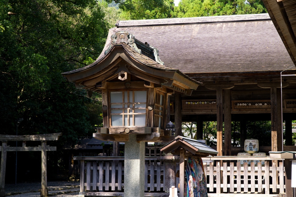 土佐神社　DSC06543