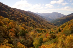 紅葉ももう終わり　三嶺、祖谷渓