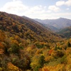 紅葉ももう終わり　三嶺、祖谷渓