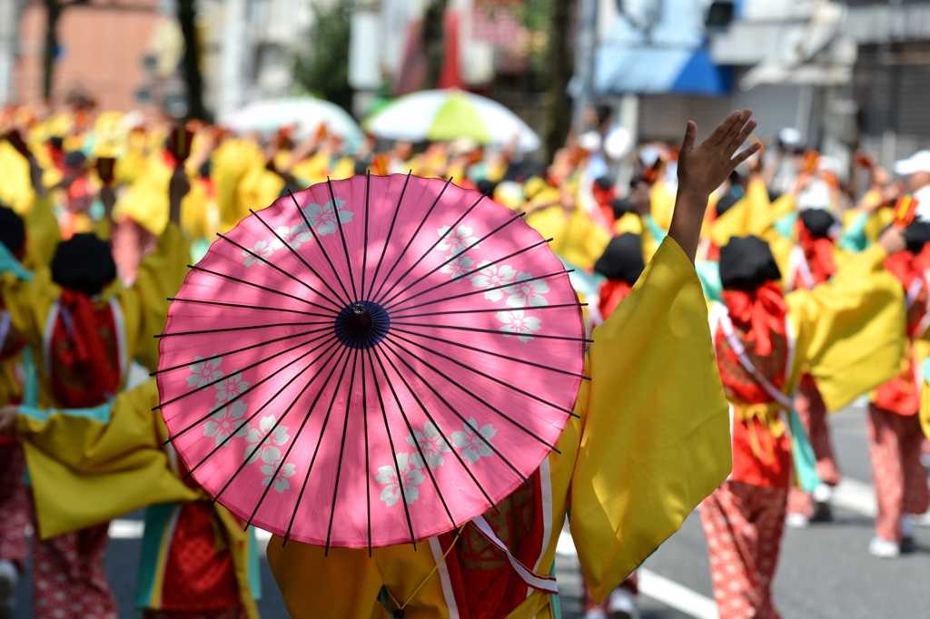 上町よさこい鳴子連 DSC_6532