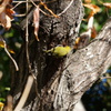 DSC09029