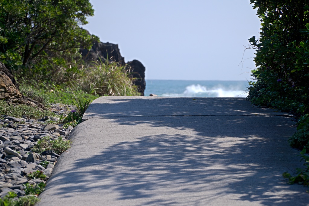 遊歩道から東を見たら