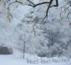 雪の三ッ池公園