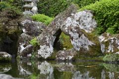 武家屋敷　庭園より