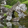 武家屋敷　庭園より