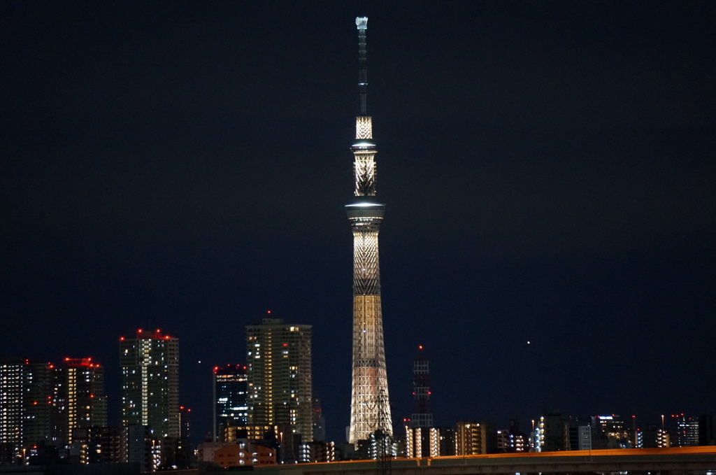 SKYTREE as Brun Chocolat