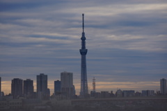 SKYTREE in the morning.