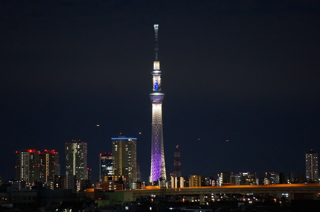 SKYTREE in the night.