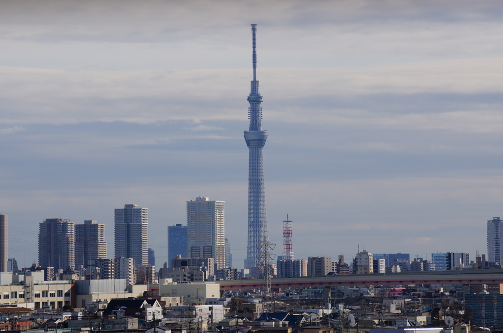 SKYTREE in the afternoon.