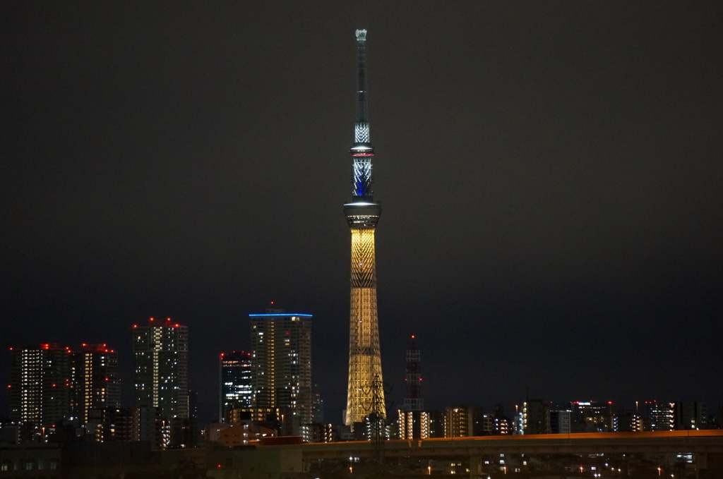 SKYTREE as Gold Medal
