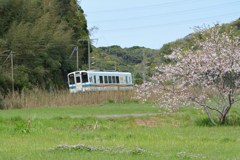 オレンジ鉄道とサクラ
