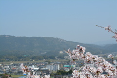 向こうの山にも・・・