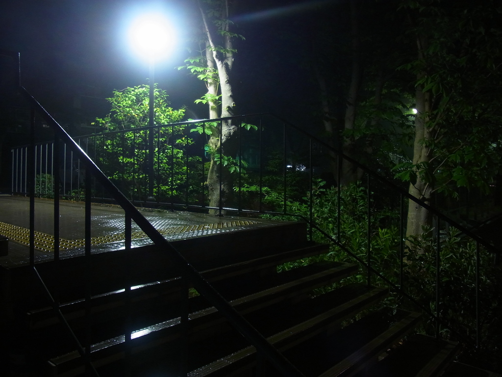 夜の大学