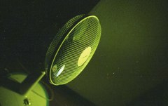 扇風機の放し飼い