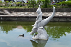 イルカにのった少年
