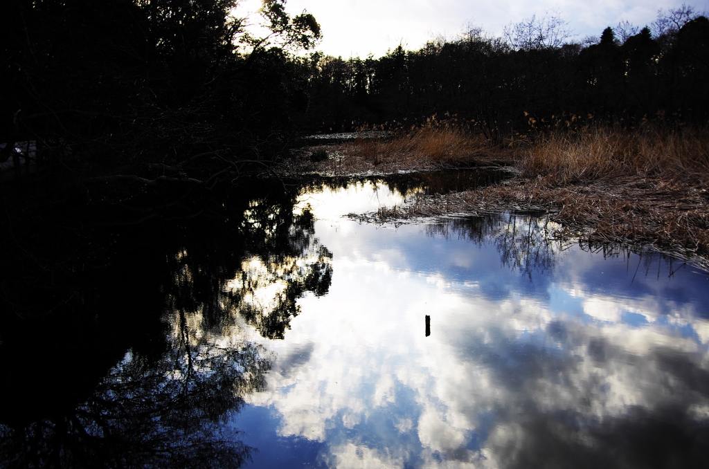 Reflection