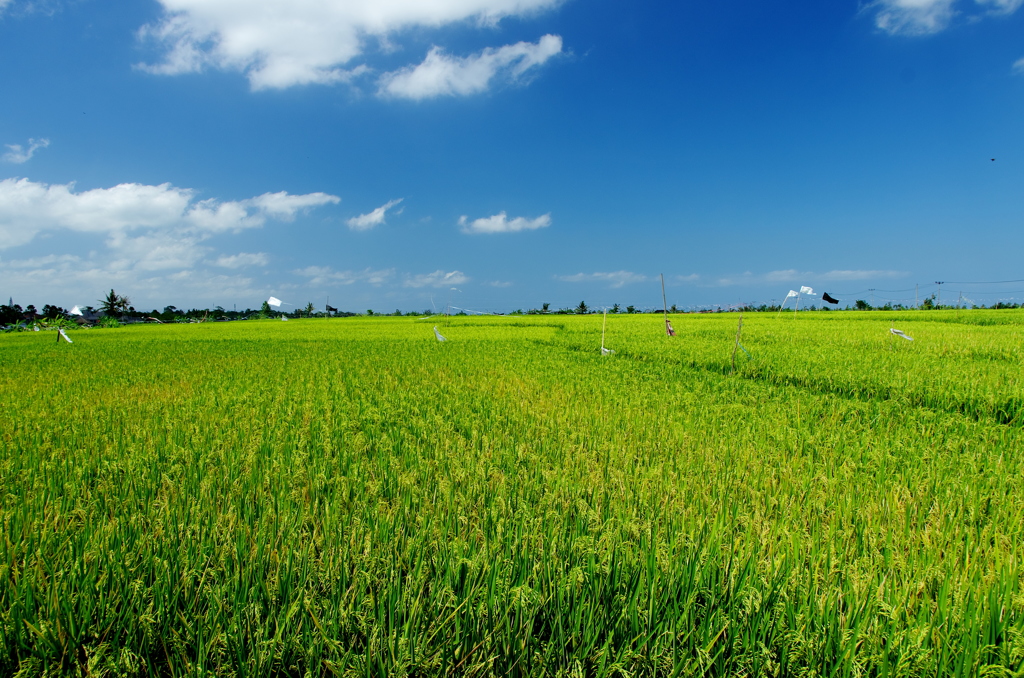 Green and Blue