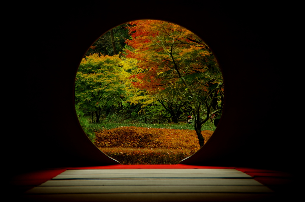Circular Window