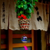 Bladder Cherry