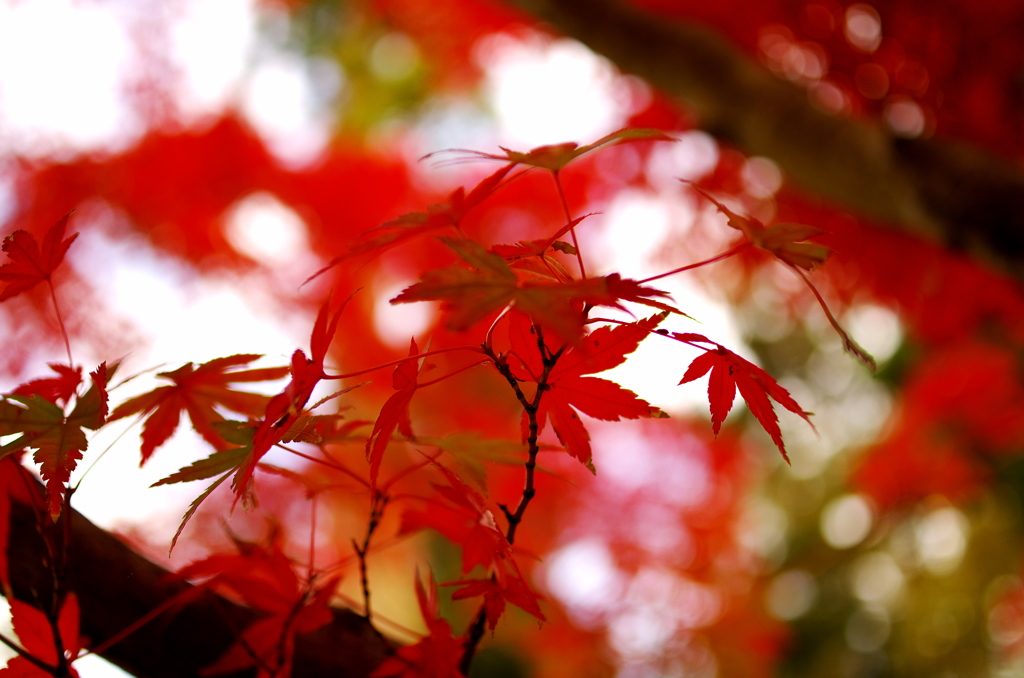 Gradation