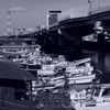 Fishery Horbour under Highway