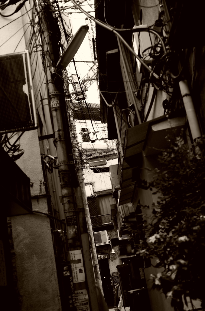 Chuo Line