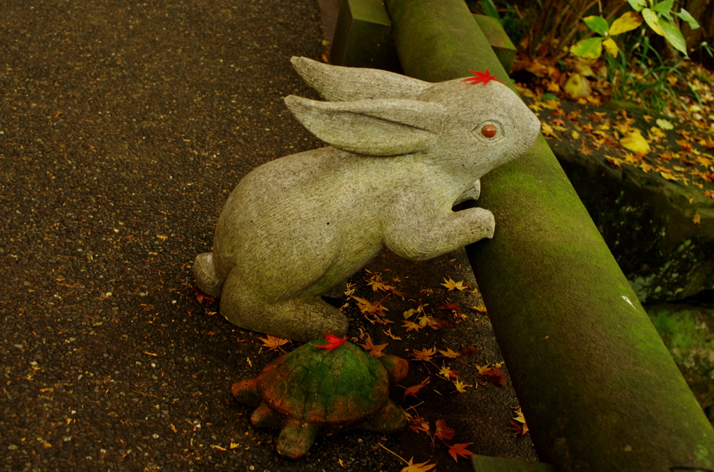 Rabbit and Tortoise