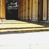 April Sunlight
