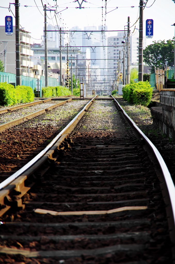 Tram Line